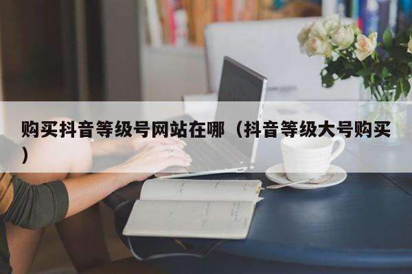 购买抖音等级号网站在哪(抖音等级大号购买) 购买抖音等级号网站在哪(抖音等级大号购买)(图1)